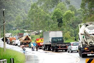 Queda de árvores deixou trânsito lento na última sexta feira