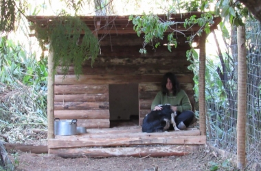 Carla Freire numa das casinhas de cachorro construídas com madeira reaproveitada (Fotos da web)