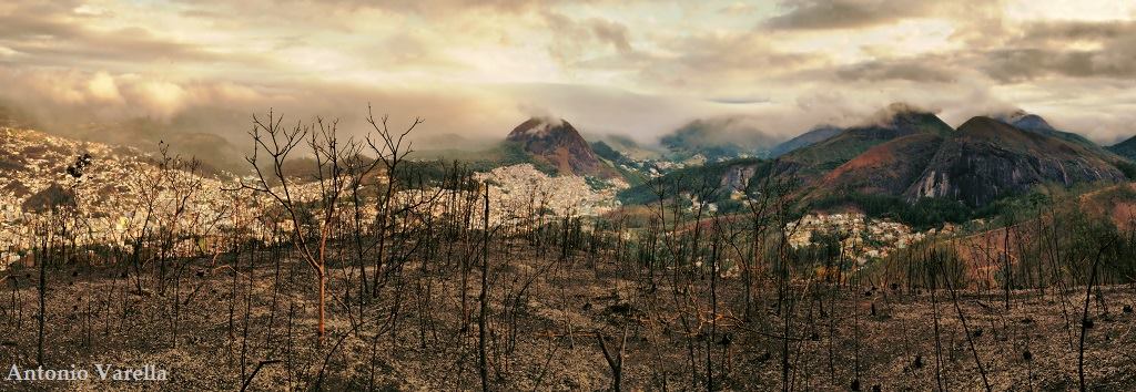 A triste paisagem no alto do Morro da Cruz, um dia após a queimada (Fotos: Antônio Varella)