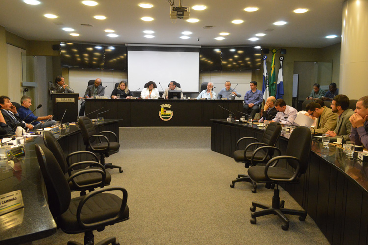 A audiência pública realizada na Câmara Municipal (Foto: Márcio Madeira)