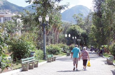 Praça Getúlio Vargas: Iphan, ICMBio e UFRRJ farão nova análise técnica das árvores (Lúcio Cesar Pereira/A Voz da Serra)