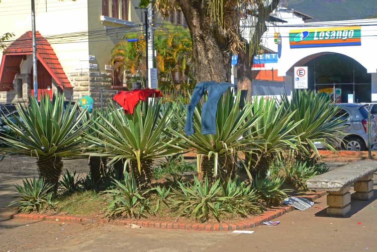 Um varal improvisado nas plantas da Praça Dermeval Barbosa Moreira