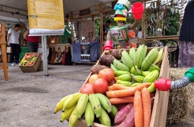 Frutas e legumes orgânicos são atração (Foto: Guilherme Alt)