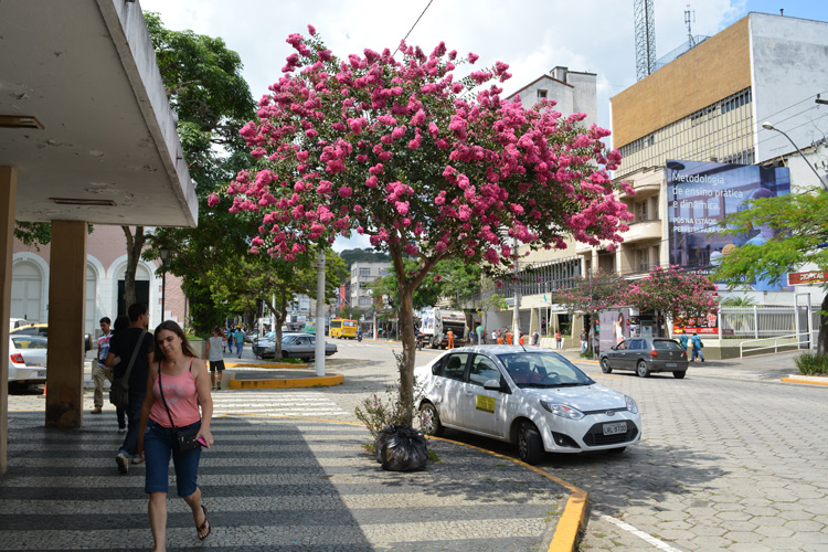 Avenida Alberto Braune (Foto: Arquivo A VOZ DA SERRA)