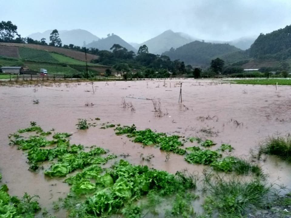 Plantação inundada em Salinas (Reprodução da internet)