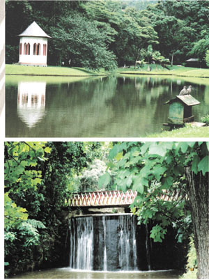 Parque São Clemente: um oásis de verde   e de paz bem no centro da cidade