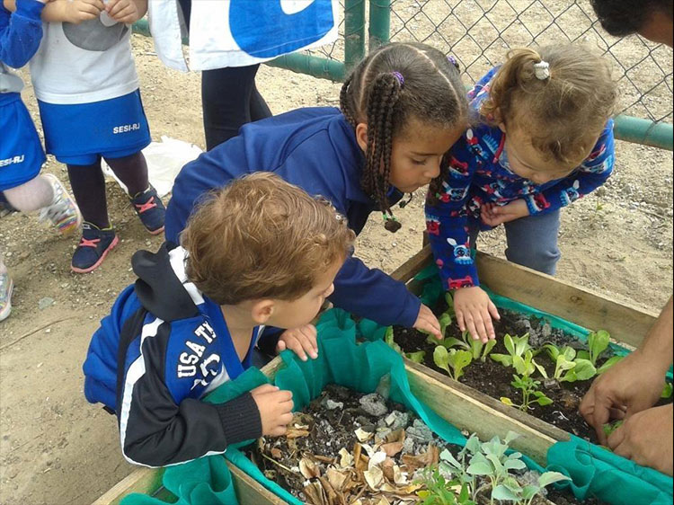 Crianças da Escola Sesi cuidam de horta como parte do aprendizado