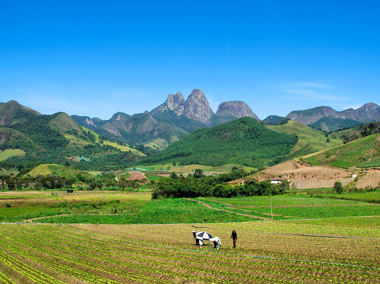 Salinas, distrito de Campo do Coelho (Foto: Arquivo A VOZ DA SERRA)