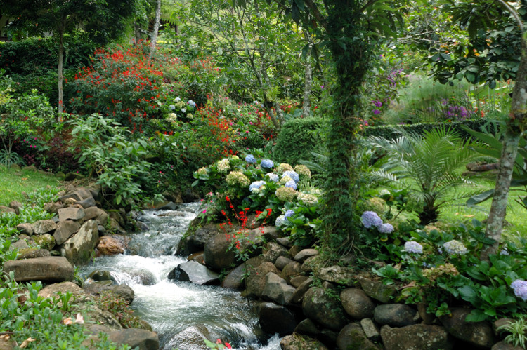 São Pedro da Serra (Foto: Arquivo A VOZ DA SERRA)