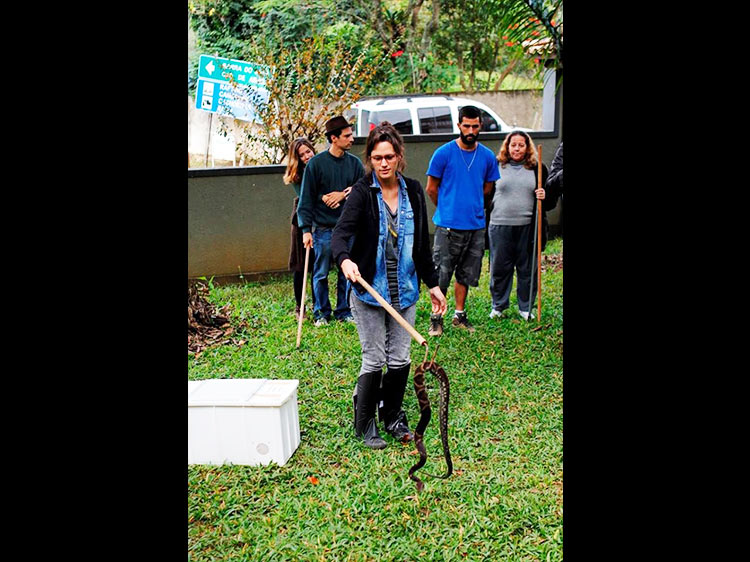 Técnicos da APA Macaé de Cima e do Instituto Vital Brazil participam dos treinamentos de manejo de serpentes (Divulgação)