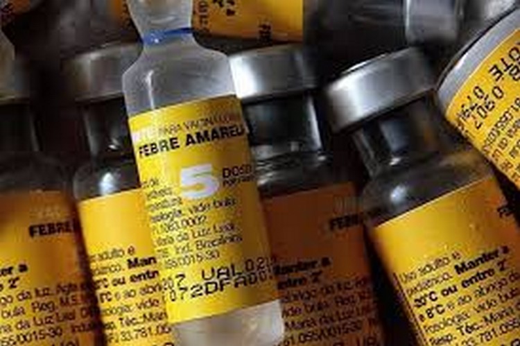 Vacina contra a febre amarela está disponível nos postos de Friburgo