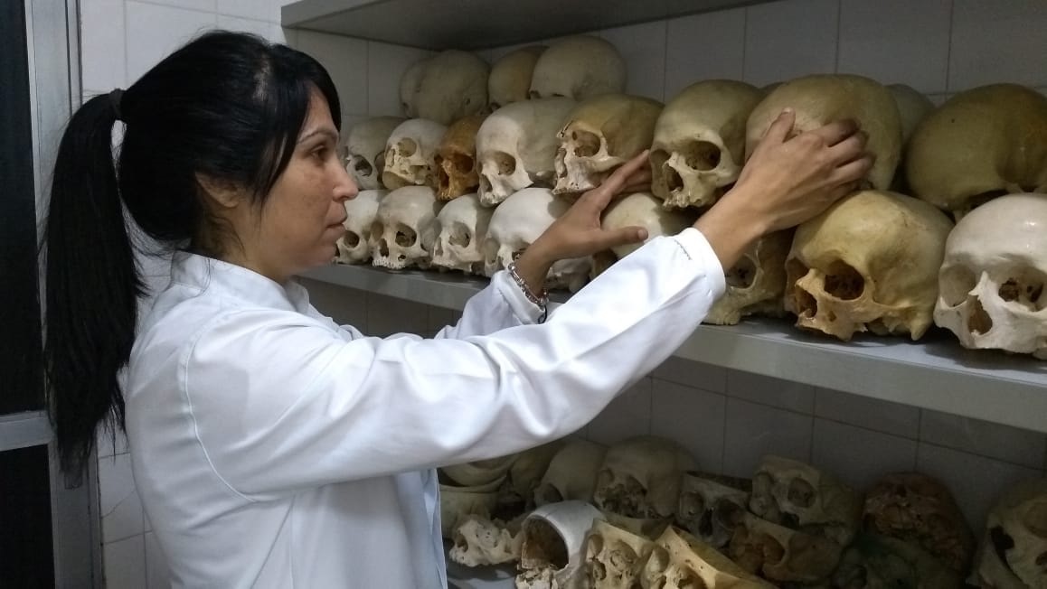Crânios no Laboratório de Anatomia (Fotos: Paulo Maia / Secom UFF)