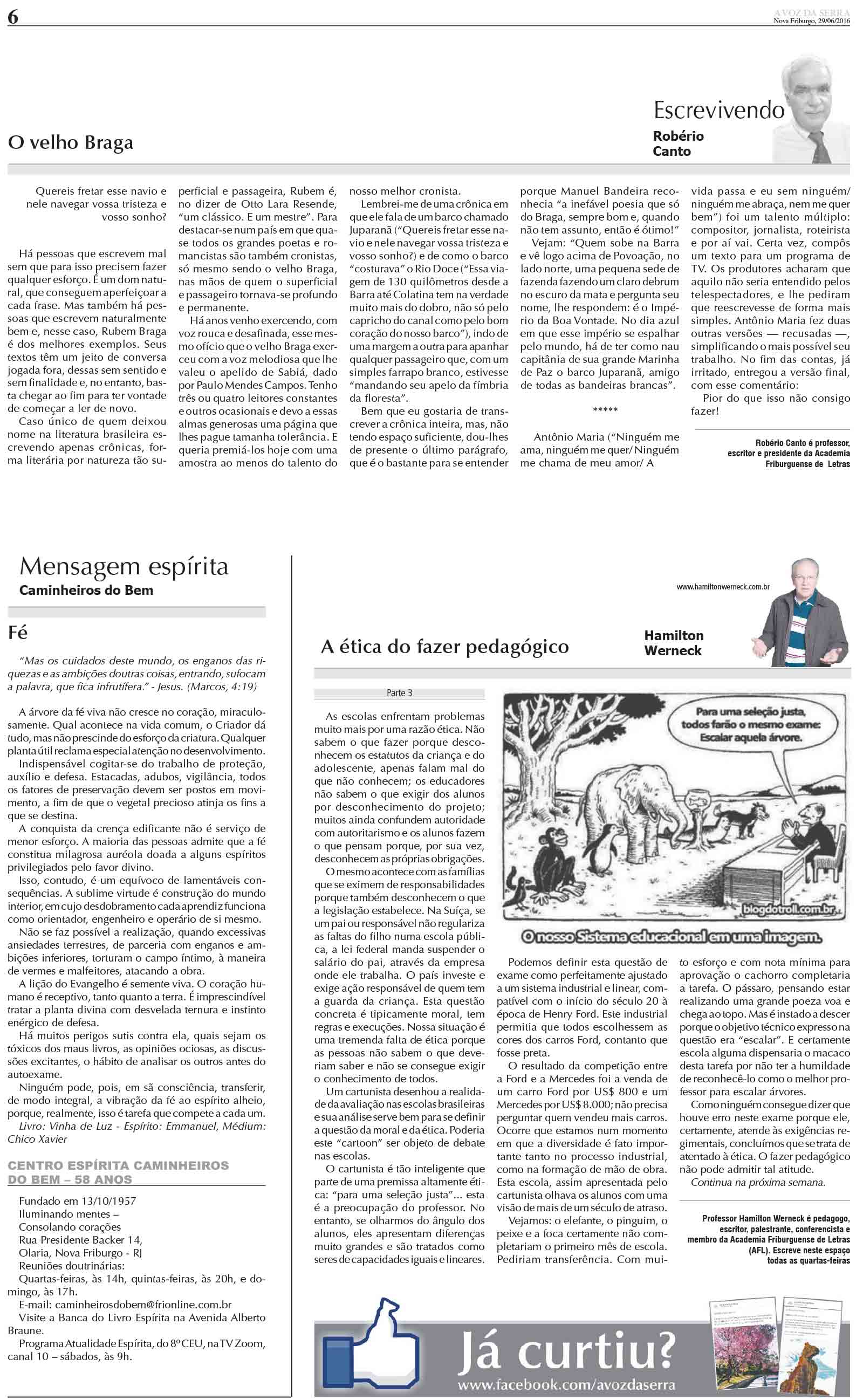 P&aacute;gina