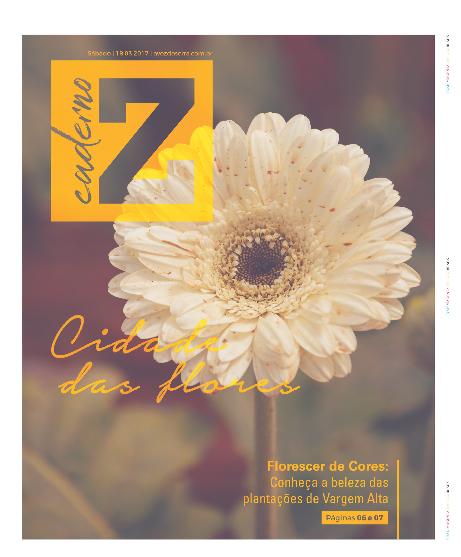 P&aacute;gina
