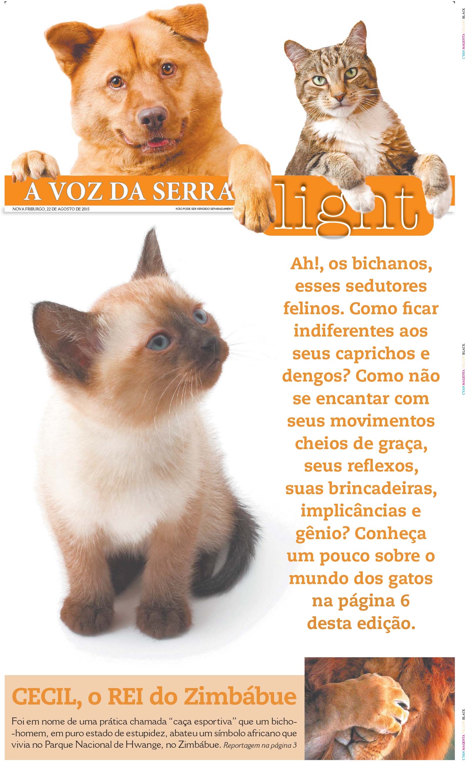 P&aacute;gina