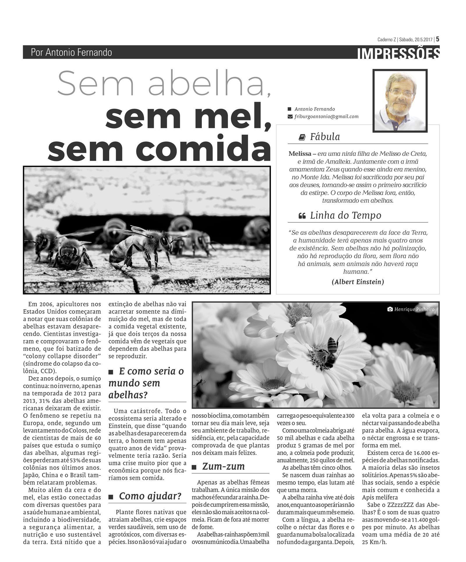 P&aacute;gina