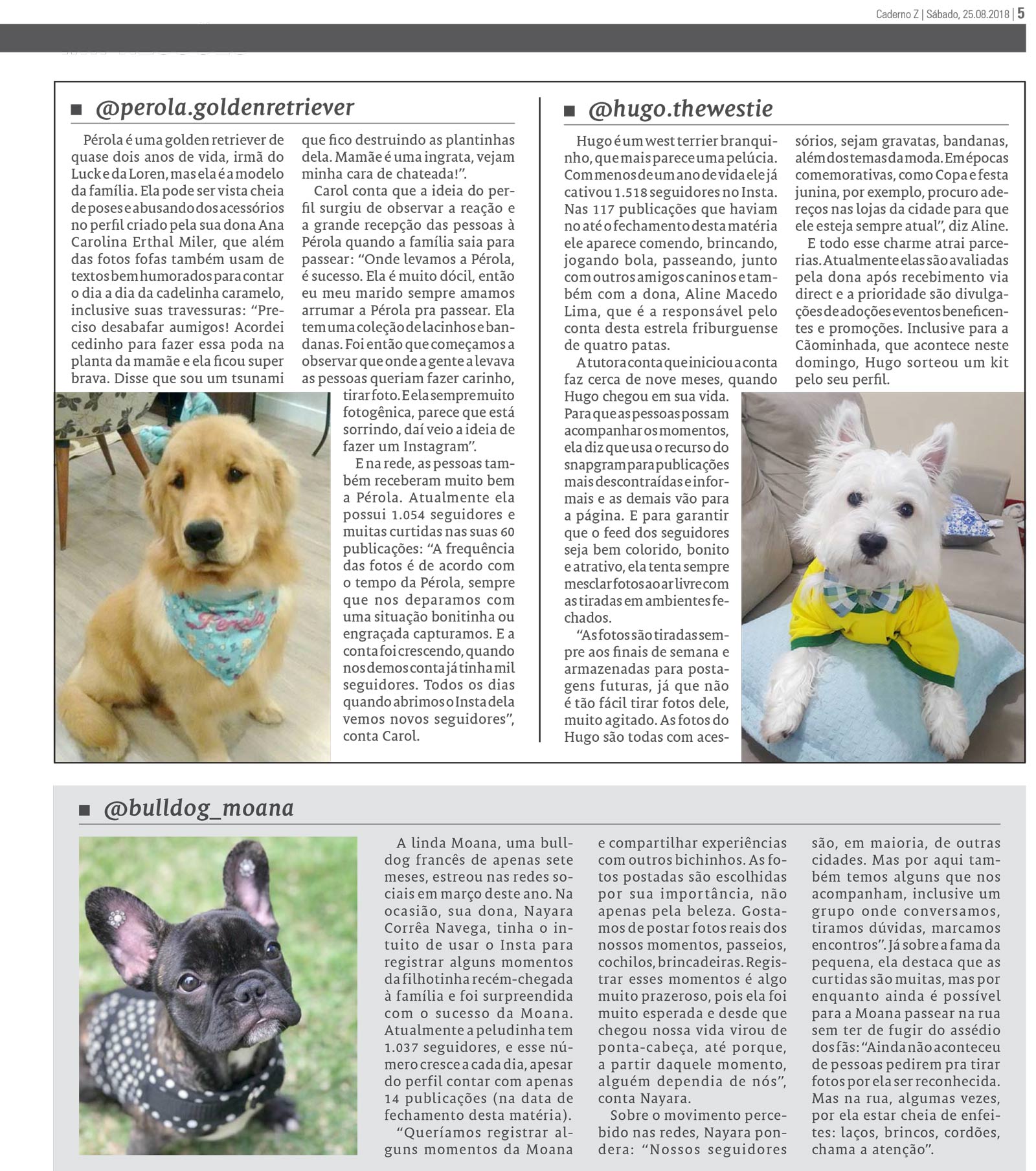 P&aacute;gina