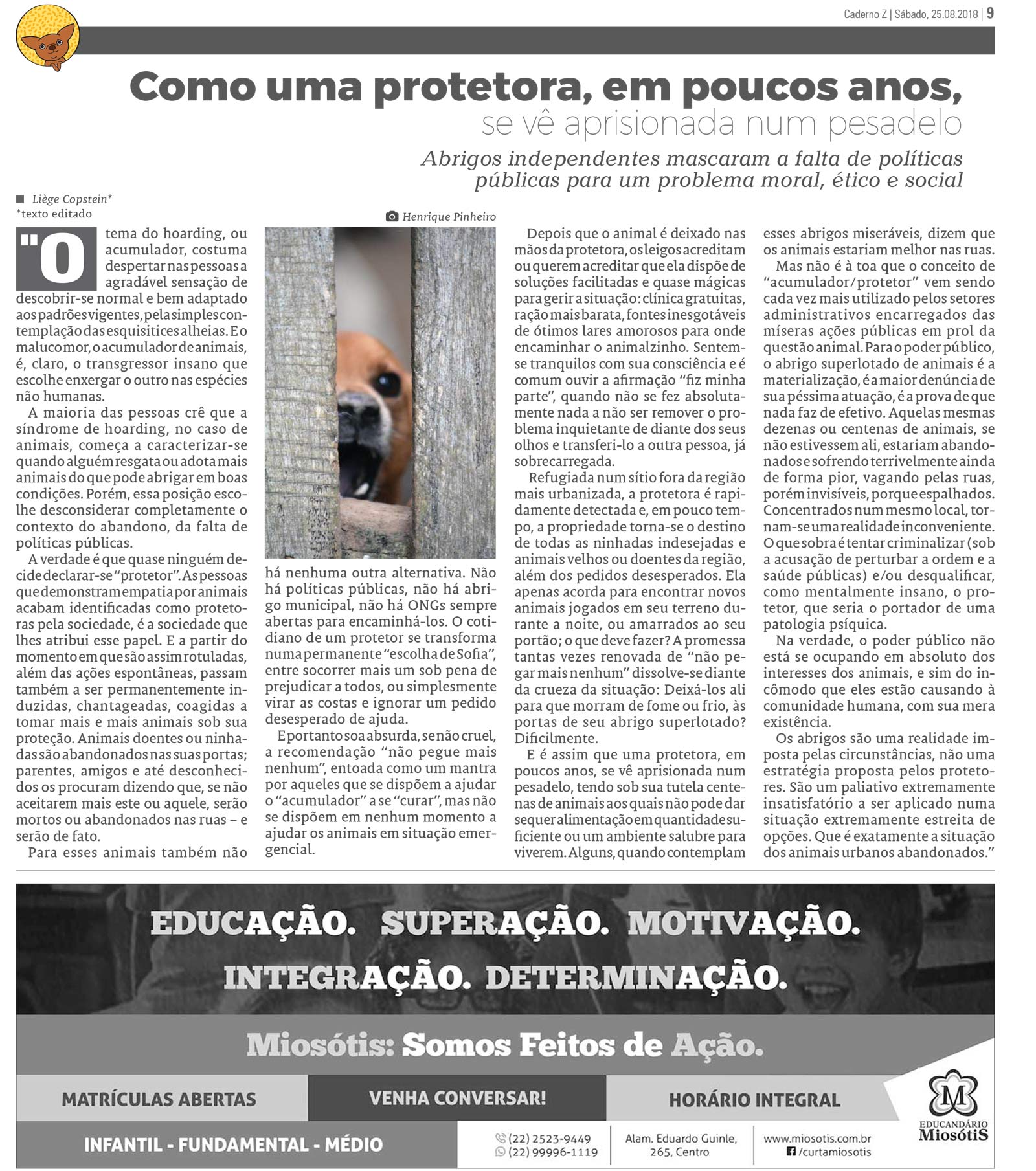 P&aacute;gina