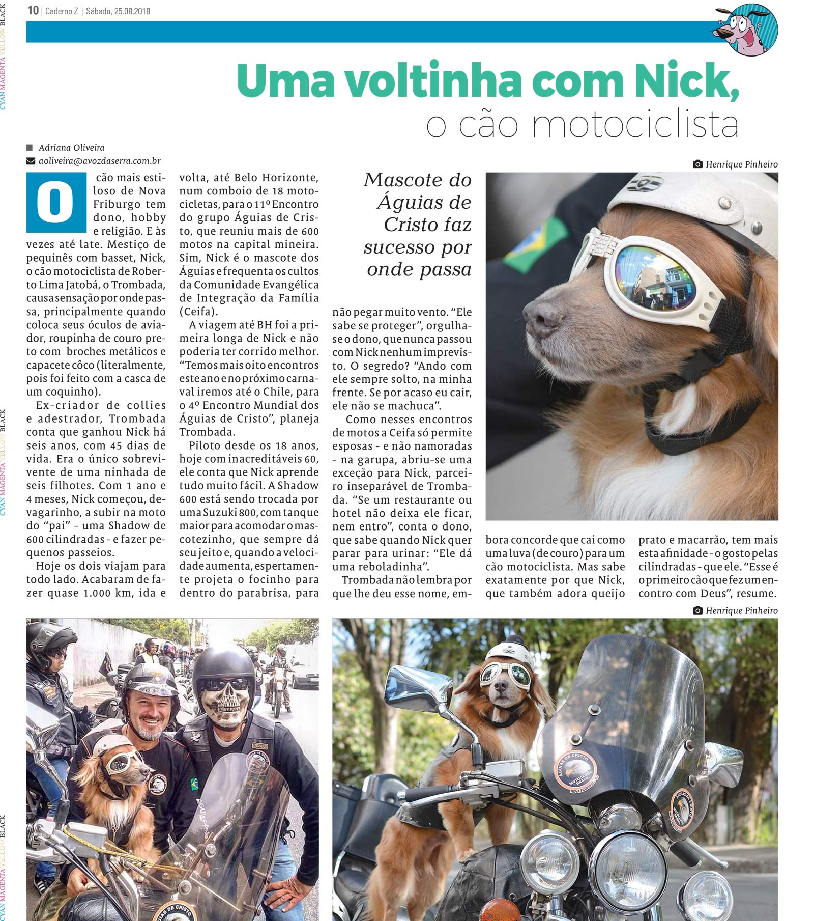 P&aacute;gina