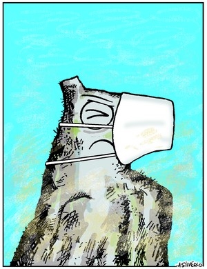 Charge do dia 20/01/2011