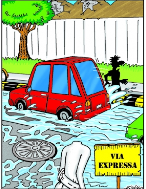 Charge do dia 21/02/2013