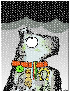 Charge do dia 25/11/2010