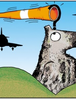 Charge do dia 31/07/2014