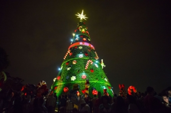 História e significado da árvore de Natal | Jornal A Voz da Serra