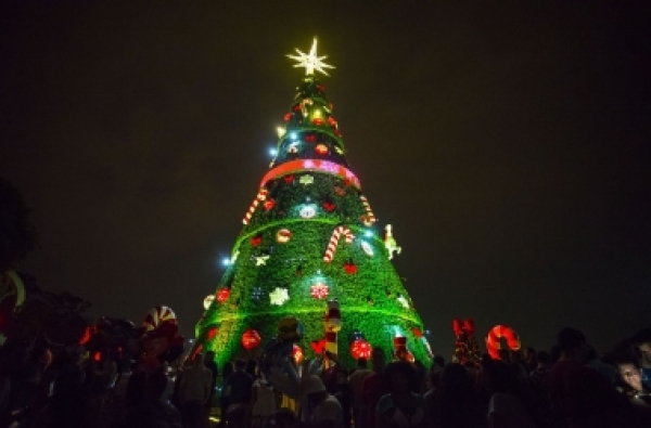 Árvore de Natal: Significado e +107 Modelos Para Se Inspirar  Árvores de  natal temáticas, Árvore de natal de ouro, Melhores decorações de natal