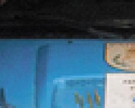 Jovem é preso  com arma e drogas no Catarcione