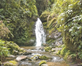 Tesouros de Nova Friburgo: Cachoeira São José