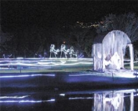 ‘Natal de Luz’ é inaugurado e promete encantar visitantes do NFCC