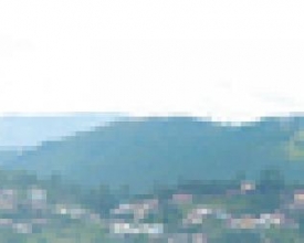 Loteamento Floresta pede socorro