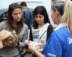 Conscientização sobre a Leishmaniose canina marca o fim de semana