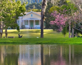 Tesouros de Nova Friburgo: Country Clube