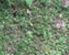 Abastecimento de água com  problemas em Varginha, Parque  D. João VI e Parque Imperial