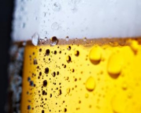 Projeto traça rota da cerveja serrana para incrementar turismo no estado