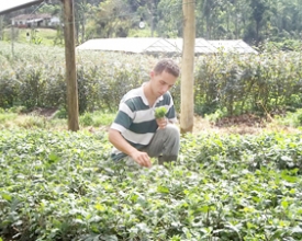 Região Serrana comemora resultados positivos na agricultura