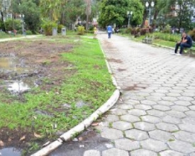 Corte dos eucaliptos trouxe danos a jardins e monumentos