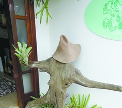 Transformando natureza em arte
