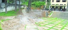Pracinha e árvores no Bairro Ypu precisam de reparos