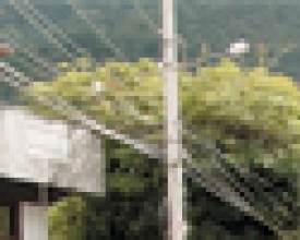 Mais de 300 atletas participam da 3ª Corrida Águas de Nova Friburgo pelo Meio Ambiente
