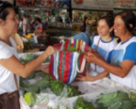 Alimentos orgânicos são a nova aposta de agricultores familiares