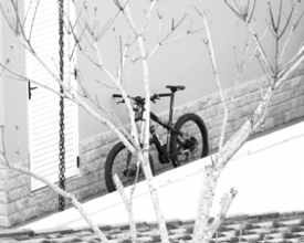A bicicleta