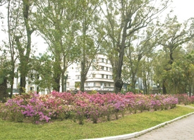 O que Nova Friburgo merece de presente pelos 195 anos?