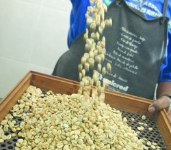 Um (bom) café, por favor!