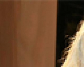 Concurso Gay elege representante do carnaval friburguense