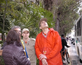 Governo municipal busca com o Corpo de Bombeiros data para a poda de árvores na Praça Getúlio Vargas