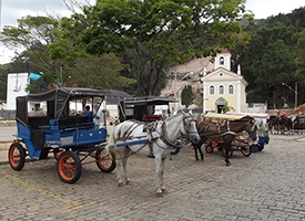 Projeto de lei propõe regulamentar aluguel de cavalos e charretes