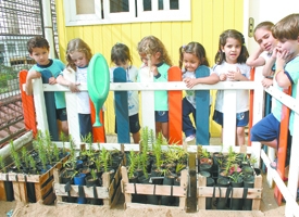 Projeto ambiental promove ação  em escolas de Nova Friburgo